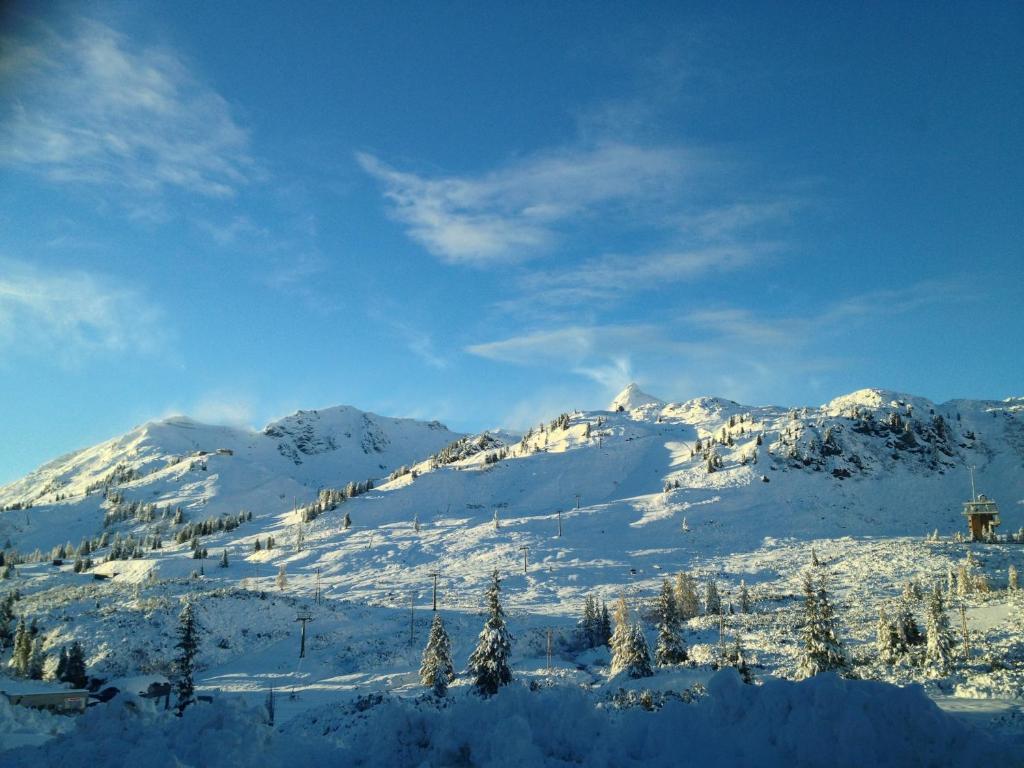 Hotel Alpenland โอเบอร์เทาเอิร์น ภายนอก รูปภาพ